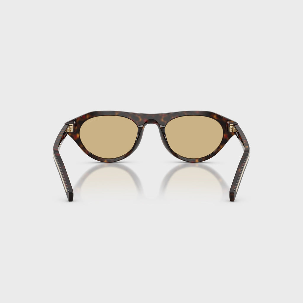 Prada PR B15S Acetate Sunglasses - Root Tortoise / Light Brown