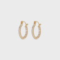 Crystal Haze Serena Small Hoops - Clear