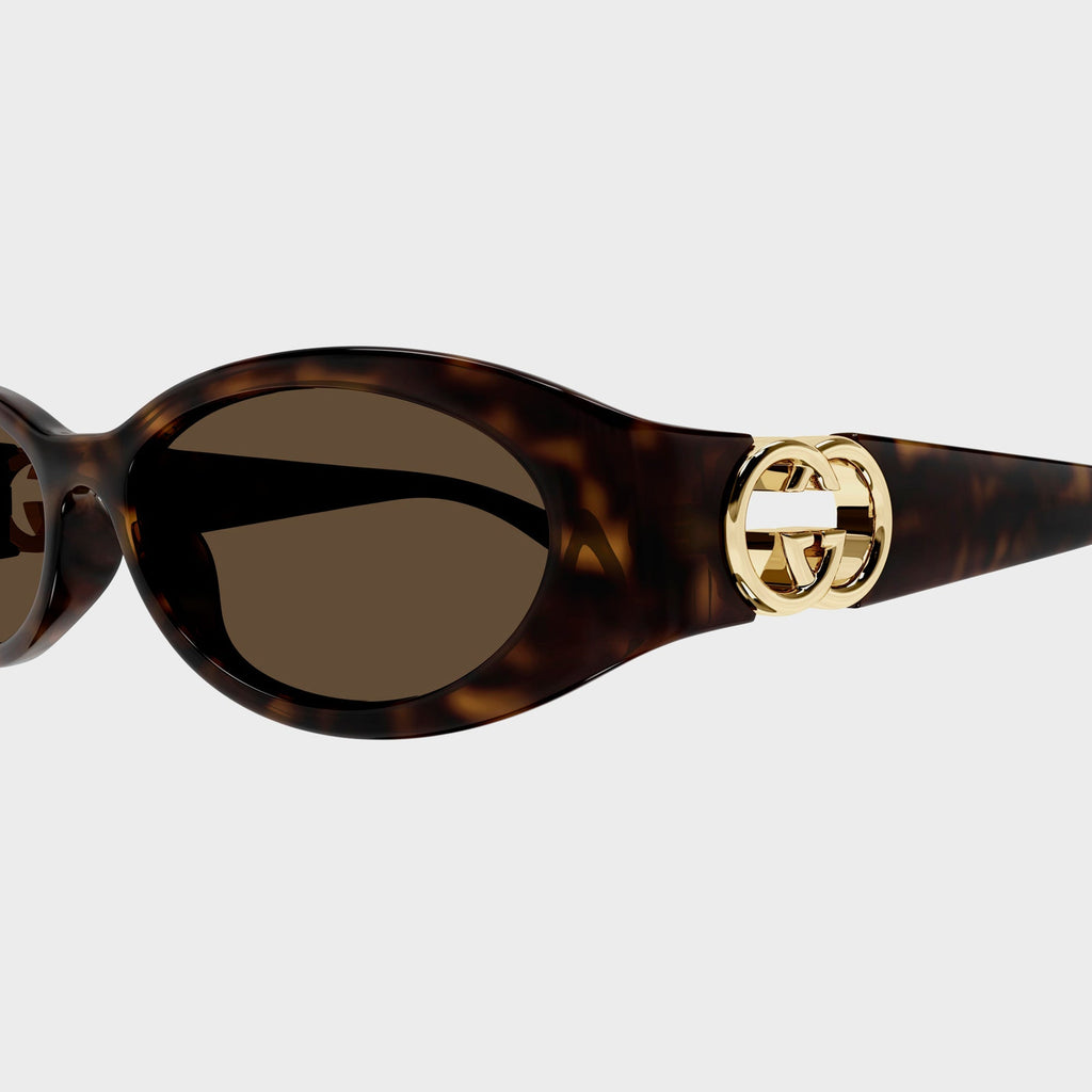 Gucci Eyewear 54 Sunglass - Havana / Brown