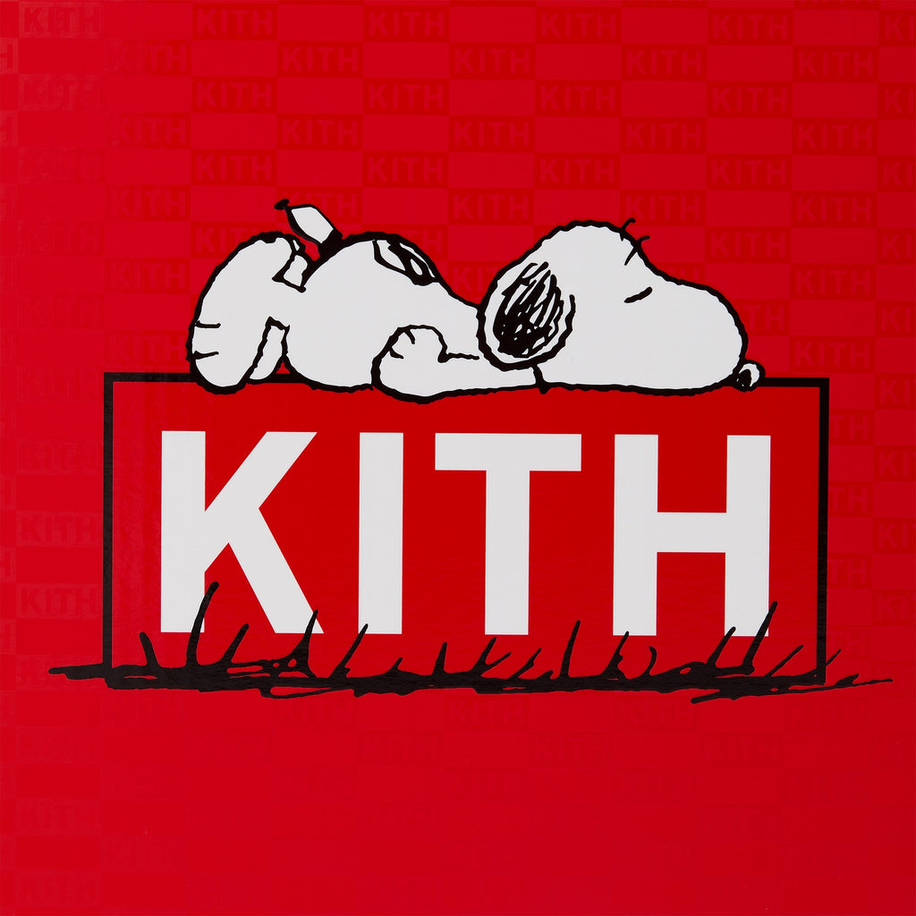 Kith for Peanuts Palette Snoopy Plush Set - Multi