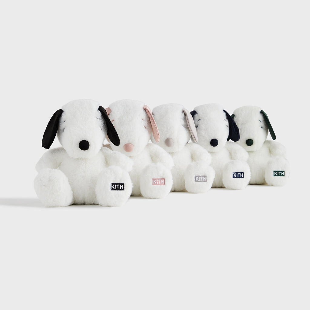 Kith for Peanuts Palette Snoopy Plush Set - Multi