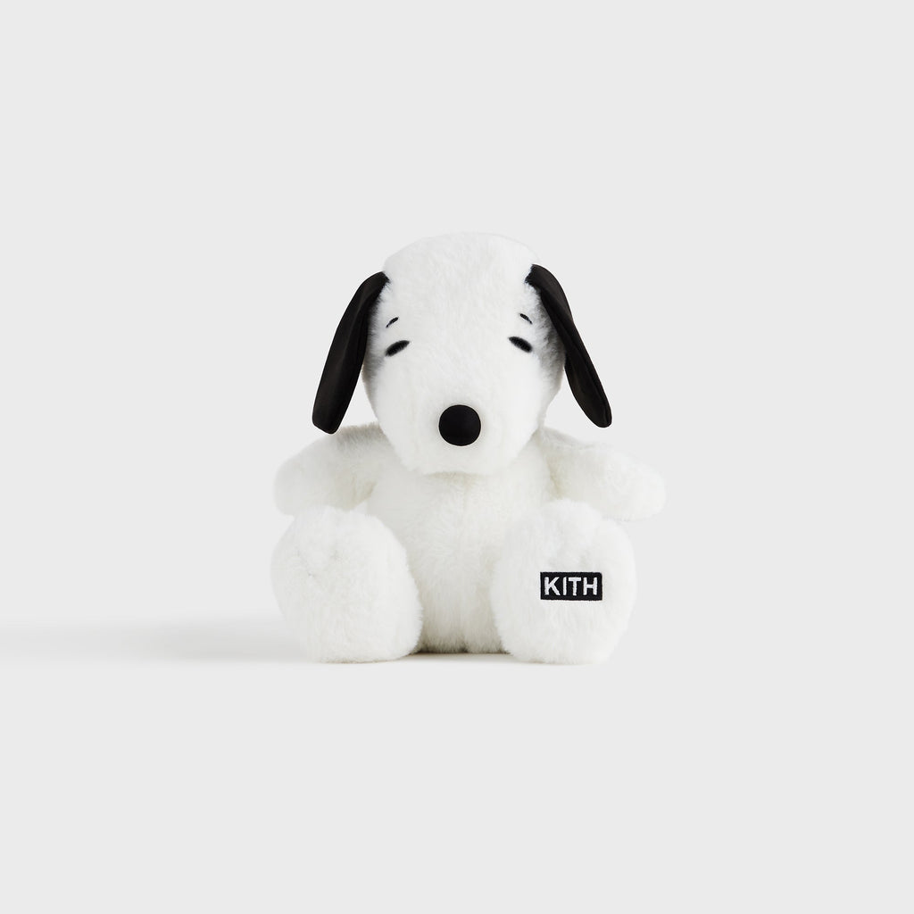 Kith for Peanuts Palette Snoopy Plush Set - Multi