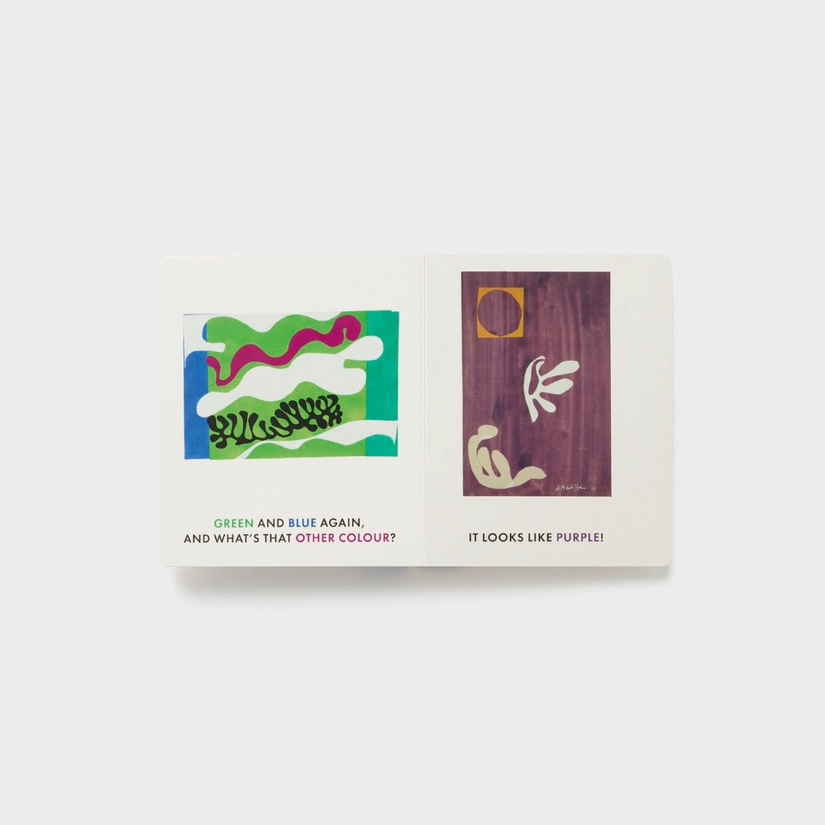 PHAIDON Blue & Other Colors with Henri Matisse