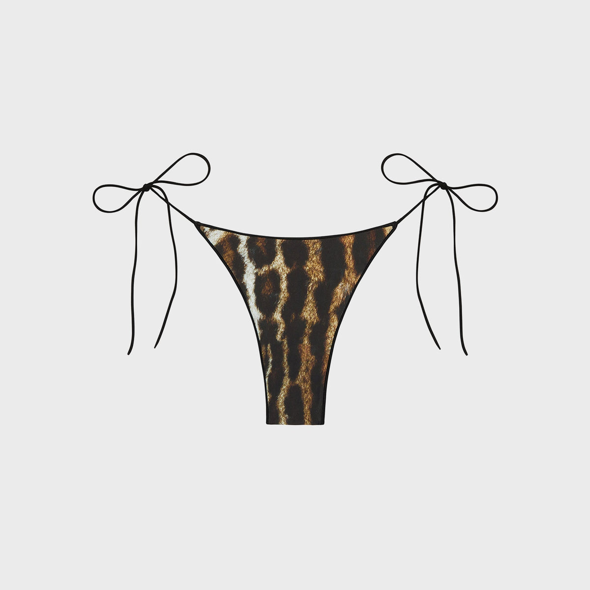 Tropic of C The C Bottom - Ocelot