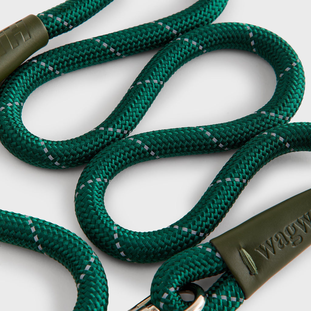 Kith for wagwear Rope Leash - Stadium
